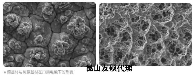 东莞蔡司东莞扫描电镜