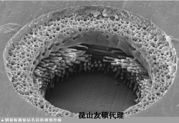 东莞蔡司东莞扫描电镜